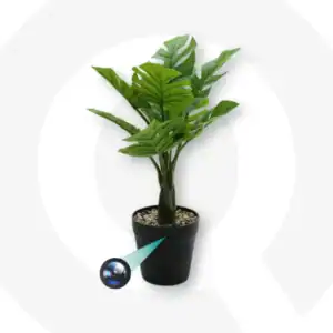 CÁMARA ESPÍA WIFI EN MACETA CON PLANTA